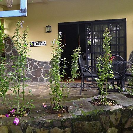 Pura Vida Hotel Alajuela Dış mekan fotoğraf