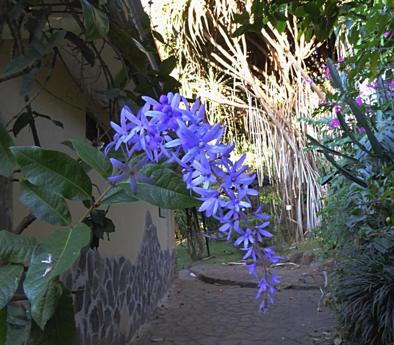 Pura Vida Hotel Alajuela Dış mekan fotoğraf