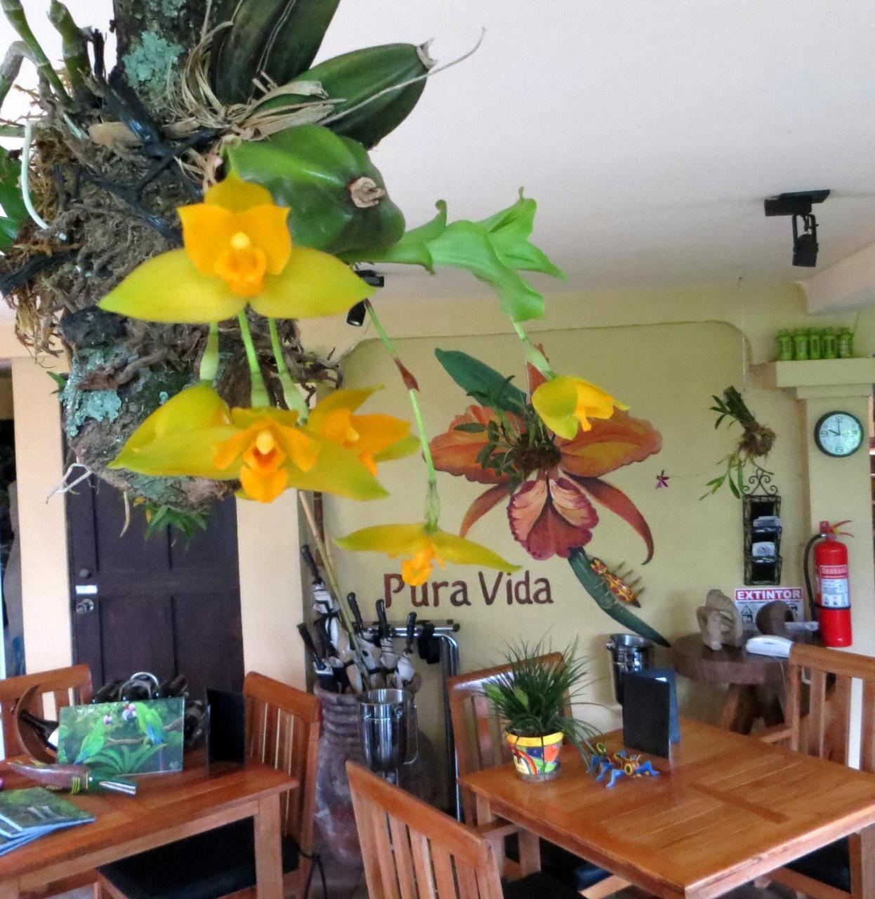 Pura Vida Hotel Alajuela Dış mekan fotoğraf