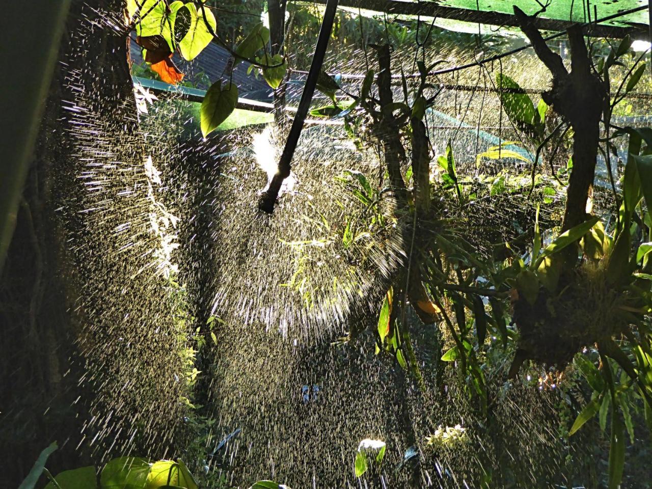 Pura Vida Hotel Alajuela Dış mekan fotoğraf