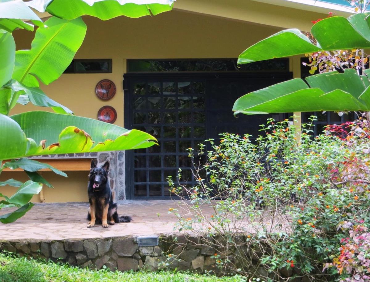 Pura Vida Hotel Alajuela Dış mekan fotoğraf